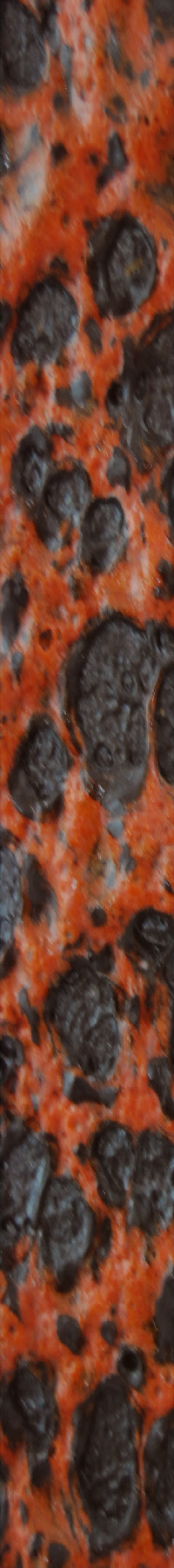 wp833dc78e_0f.jpg