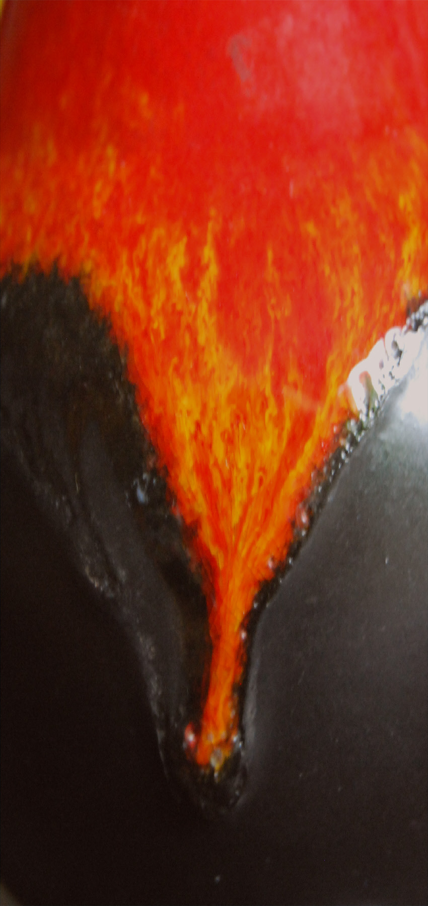 wpc84923f8_0f.jpg